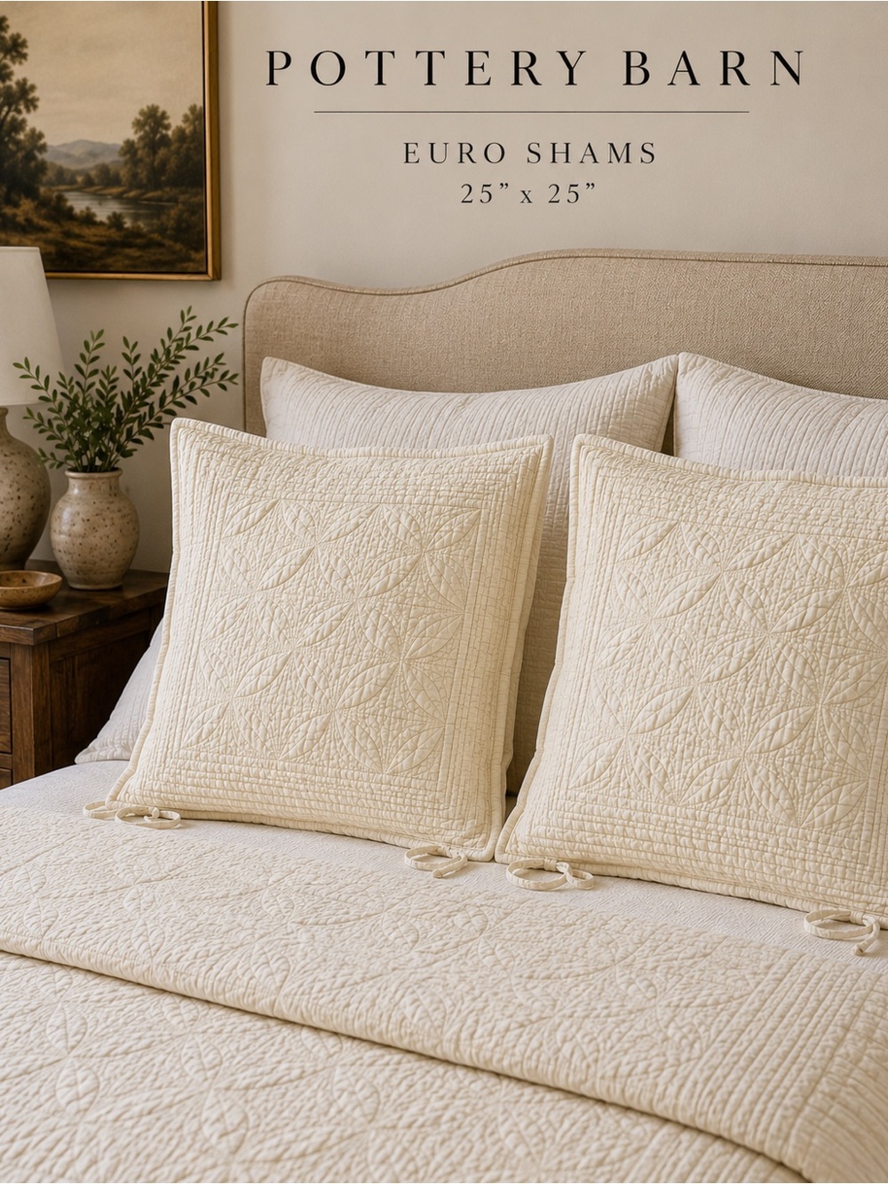 Pottery Barn Cream Quilted Euro Shams (3)
